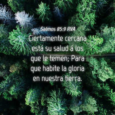 Picture 04 - Salmos 85:9 RVA - Ciertamente cercana está su salud á los que le - Bible Verse Picture