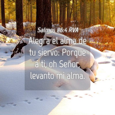 Picture 04 - Salmos 86:4 RVA - Alegra el alma de tu siervo: Porque á ti, oh - Bible Verse Picture