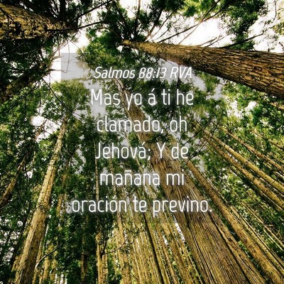 Picture 04 - Salmos 88:13 RVA - Mas yo á ti he clamado, oh Jehová; Y de mañana - Bible Verse Picture
