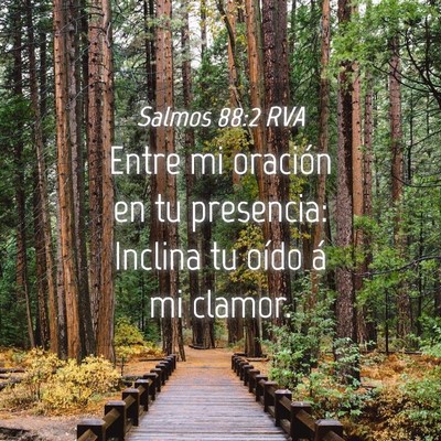 Picture 04 - Salmos 88:2 RVA - Entre mi oración en tu presencia: Inclina tu - Bible Verse Picture