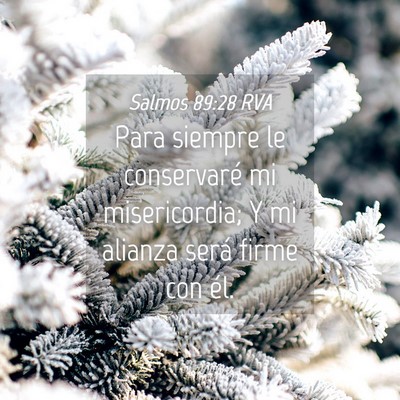 Picture 04 - Salmos 89:28 RVA - Para siempre le conservaré mi misericordia; Y mi - Bible Verse Picture