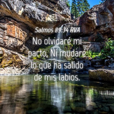 Picture 04 - Salmos 89:34 RVA - No olvidaré mi pacto, Ni mudaré lo que ha - Bible Verse Picture