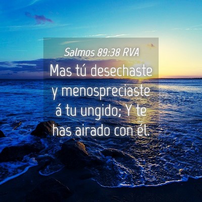 Picture 04 - Salmos 89:38 RVA - Mas tú desechaste y menospreciaste á tu ungido; - Bible Verse Picture