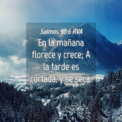 Picture 04 - Salmos 90:6 RVA - En la mañana florece y crece; A la tarde es - Bible Verse Picture