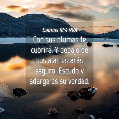 Picture 04 - Salmos 91:4 RVA - Con sus plumas te cubrirá, Y debajo de sus alas - Bible Verse Picture