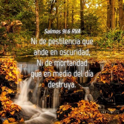 Picture 04 - Salmos 91:6 RVA - Ni de pestilencia que ande en oscuridad, Ni de - Bible Verse Picture