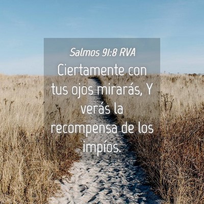 Picture 04 - Salmos 91:8 RVA - Ciertamente con tus ojos mirarás, Y verás la - Bible Verse Picture