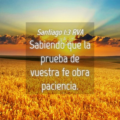 Picture 04 - Santiago 1:3 RVA - Sabiendo que la prueba de vuestra fe obra - Bible Verse Picture