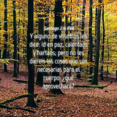 Picture 04 - Santiago 2:16 RVA - Y alguno de vosotros les dice: Id en paz, - Bible Verse Picture