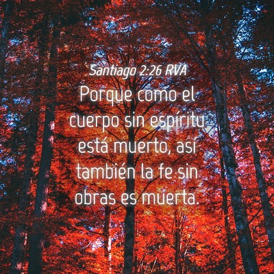 Picture 04 - Santiago 2:26 RVA - Porque como el cuerpo sin espíritu está muerto, - Bible Verse Picture