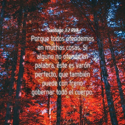 Picture 04 - Santiago 3:2 RVA - Porque todos ofendemos en muchas cosas. Si alguno - Bible Verse Picture