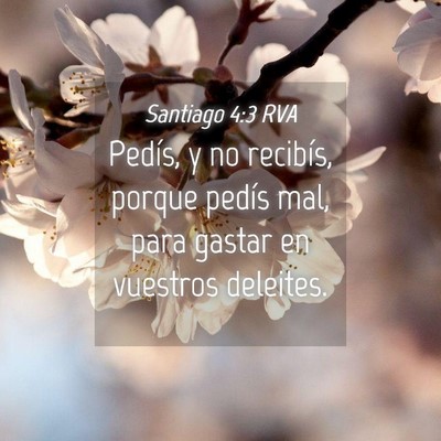 Picture 04 - Santiago 4:3 RVA - Pedís, y no recibís, porque pedís mal, para - Bible Verse Picture