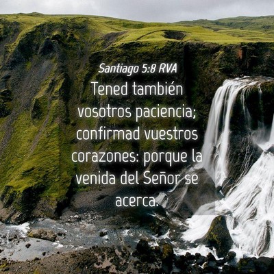 Picture 04 - Santiago 5:8 RVA - Tened también vosotros paciencia; confirmad - Bible Verse Picture