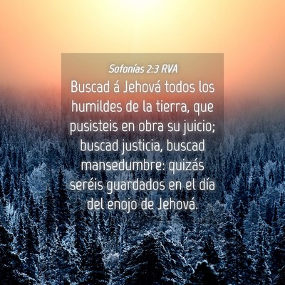 Picture 04 - Sofonías 2:3 RVA - Buscad á Jehová todos los humildes de la - Bible Verse Picture