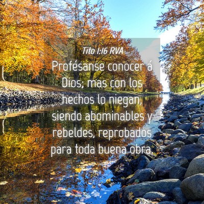 Picture 04 - Tito 1:16 RVA - Profésanse conocer á Dios; mas con los hechos - Bible Verse Picture
