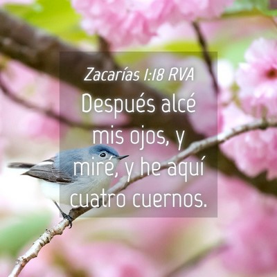 Picture 04 - Zacarías 1:18 RVA - Después alcé mis ojos, y miré, y he aquí - Bible Verse Picture