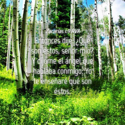 Picture 04 - Zacarías 1:9 RVA - Entonces dije: ¿Qué son éstos, señor mío? Y - Bible Verse Picture
