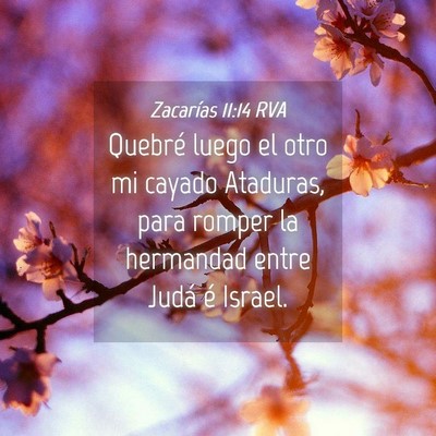 Picture 04 - Zacarías 11:14 RVA - Quebré luego el otro mi cayado Ataduras, para - Bible Verse Picture