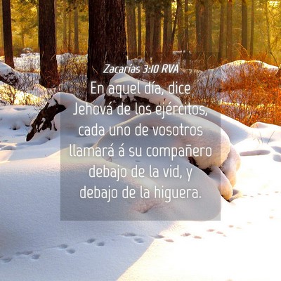 Picture 04 - Zacarías 3:10 RVA - En aquel día, dice Jehová de los ejércitos, - Bible Verse Picture