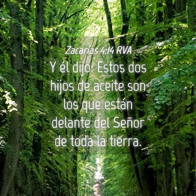 Picture 04 - Zacarías 4:14 RVA - Y él dijo: Estos dos hijos de aceite son los que - Bible Verse Picture