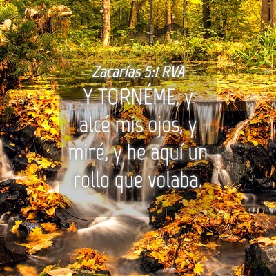 Picture 04 - Zacarías 5:1 RVA - Y TORNÉME, y alcé mis ojos, y miré, y he aquí - Bible Verse Picture