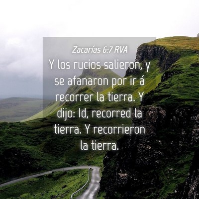 Picture 04 - Zacarías 6:7 RVA - Y los rucios salieron, y se afanaron por ir á - Bible Verse Picture