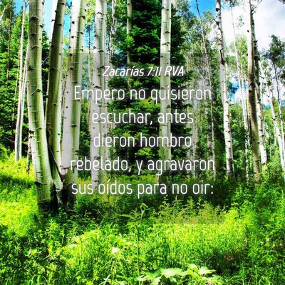 Picture 04 - Zacarías 7:11 RVA - Empero no quisieron escuchar, antes dieron hombro - Bible Verse Picture