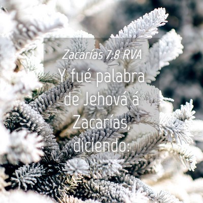 Picture 04 - Zacarías 7:8 RVA - Y fué palabra de Jehová á Zacarías, - Bible Verse Picture