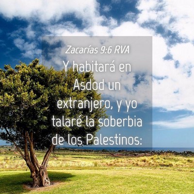 Picture 04 - Zacarías 9:6 RVA - Y habitará en Asdod un extranjero, y yo talaré - Bible Verse Picture