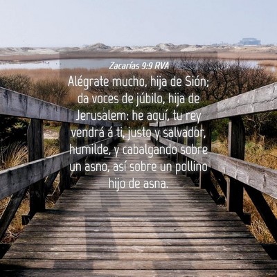Picture 04 - Zacarías 9:9 RVA - Alégrate mucho, hija de Sión; da voces de - Bible Verse Picture