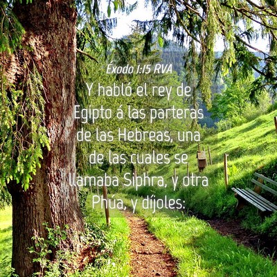 Picture 04 - Éxodo 1:15 RVA - Y habló el rey de Egipto á las parteras de las - Bible Verse Picture