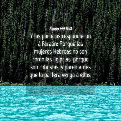 Picture 04 - Éxodo 1:19 RVA - Y las parteras respondieron á Faraón: Porque - Bible Verse Picture