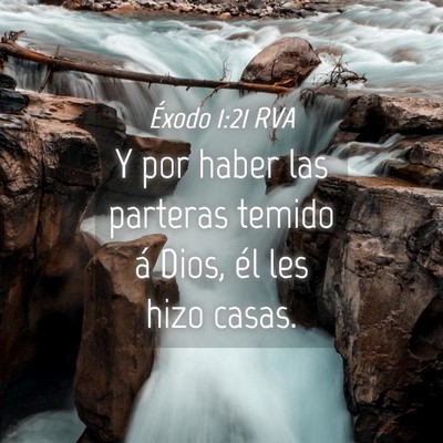 Picture 04 - Éxodo 1:21 RVA - Y por haber las parteras temido á Dios, él les - Bible Verse Picture