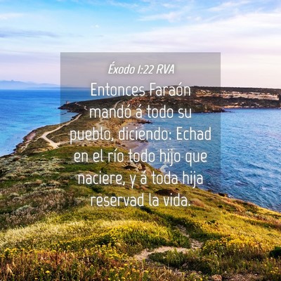 Picture 04 - Éxodo 1:22 RVA - Entonces Faraón mandó á todo su pueblo, - Bible Verse Picture