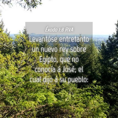 Picture 04 - Éxodo 1:8 RVA - Levantóse entretanto un nuevo rey sobre Egipto, - Bible Verse Picture