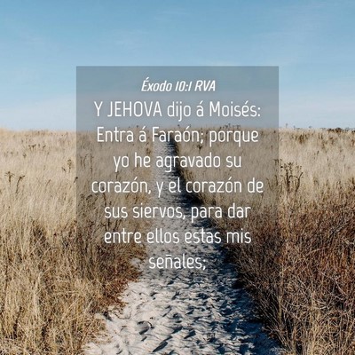 Picture 04 - Éxodo 10:1 RVA - Y JEHOVA dijo á Moisés: Entra á Faraón; - Bible Verse Picture