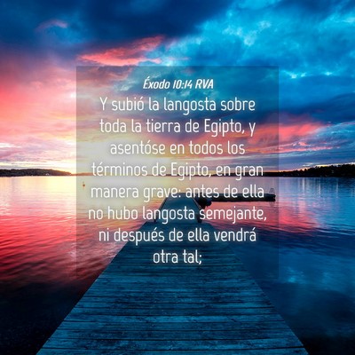 Picture 04 - Éxodo 10:14 RVA - Y subió la langosta sobre toda la tierra de - Bible Verse Picture