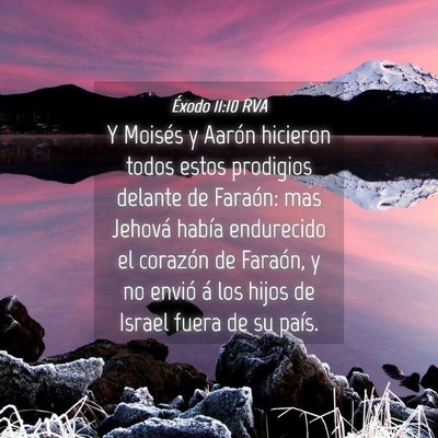 Picture 04 - Éxodo 11:10 RVA - Y Moisés y Aarón hicieron todos estos prodigios - Bible Verse Picture