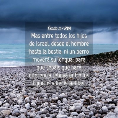 Picture 04 - Éxodo 11:7 RVA - Mas entre todos los hijos de Israel, desde el - Bible Verse Picture