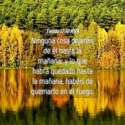 Picture 04 - Éxodo 12:10 RVA - Ninguna cosa dejaréis de él hasta la mañana; y - Bible Verse Picture