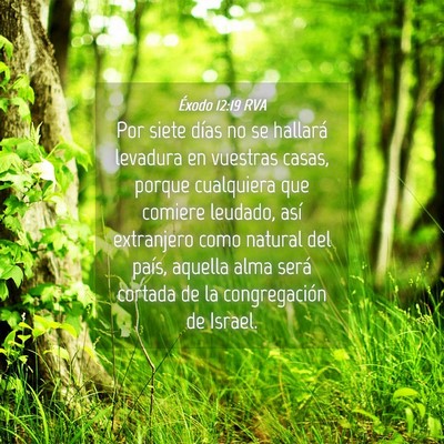 Picture 04 - Éxodo 12:19 RVA - Por siete días no se hallará levadura en - Bible Verse Picture