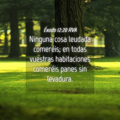 Picture 04 - Éxodo 12:20 RVA - Ninguna cosa leudada comeréis; en todas vuestras - Bible Verse Picture