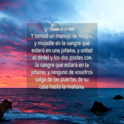 Picture 04 - Éxodo 12:22 RVA - Y tomad un manojo de hisopo, y mojadle en la - Bible Verse Picture