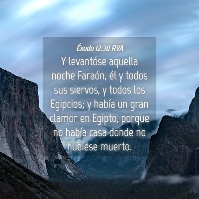Picture 04 - Éxodo 12:30 RVA - Y levantóse aquella noche Faraón, él y todos - Bible Verse Picture