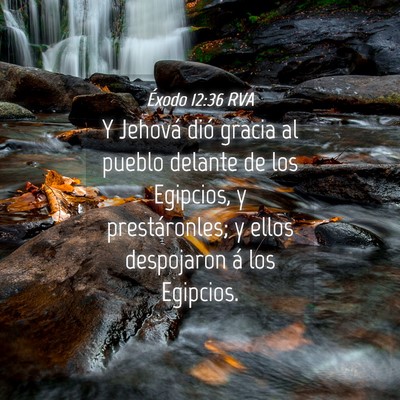 Picture 04 - Éxodo 12:36 RVA - Y Jehová dió gracia al pueblo delante de los - Bible Verse Picture