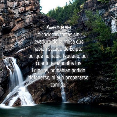 Picture 04 - Éxodo 12:39 RVA - Y cocieron tortas sin levadura de la masa que - Bible Verse Picture