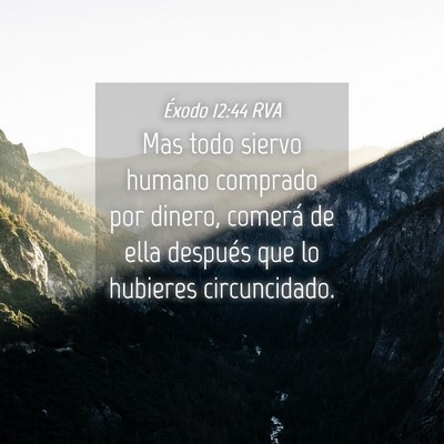 Picture 04 - Éxodo 12:44 RVA - Mas todo siervo humano comprado por dinero, - Bible Verse Picture