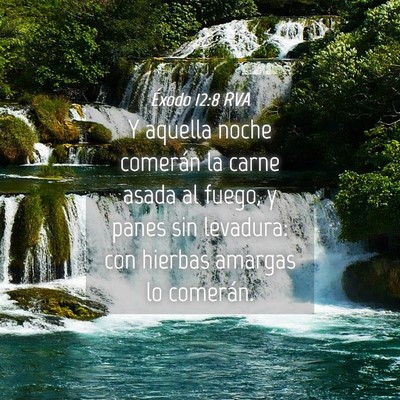 Picture 04 - Éxodo 12:8 RVA - Y aquella noche comerán la carne asada al fuego, - Bible Verse Picture