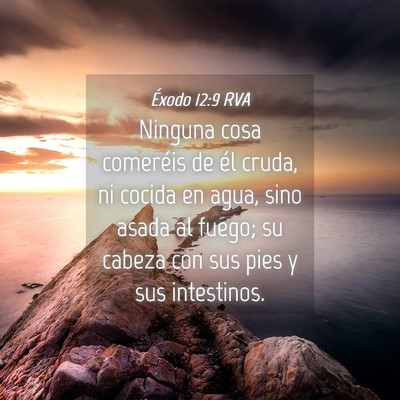 Picture 04 - Éxodo 12:9 RVA - Ninguna cosa comeréis de él cruda, ni cocida en - Bible Verse Picture