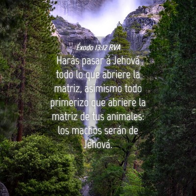 Picture 04 - Éxodo 13:12 RVA - Harás pasar á Jehová todo lo que abriere la - Bible Verse Picture